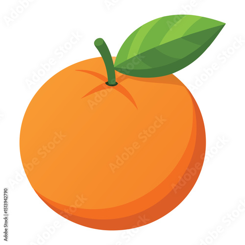 orange fruit vector illustration