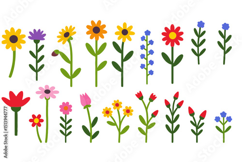 Colorful Flower Vector Illustration- Various Types of Flowers with Green Stems and Leaves- Perfect for Spring and Summer Designs- Floral Design Element