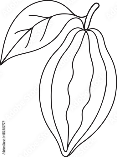 Organic cocoa bean logo concept line drawing