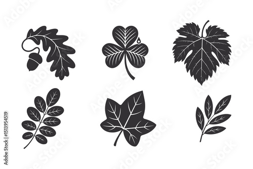 Oak leave, Cannabis Leaf, Clover, maple leaf, fig leaf, Birch leaf set ,silhouette vector illustration. isolated on white background.