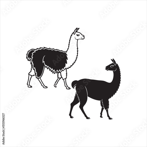 llama silhouette vector