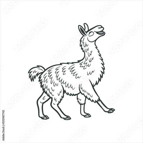 funny llama black and white vector
