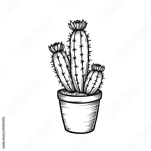 A detailed ink sketch of a cactus plant in a terracotta pot. It's a captivating drawing, showcasing the unique texture and form of the desert flora in striking detail.
