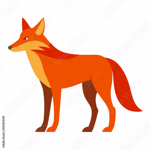 red fox vector illustration
