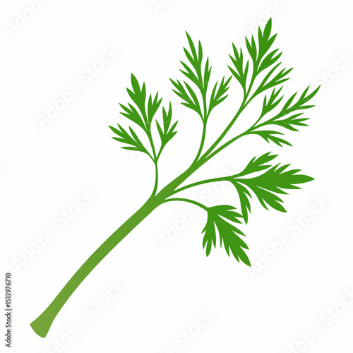 bunch of fresh parsley