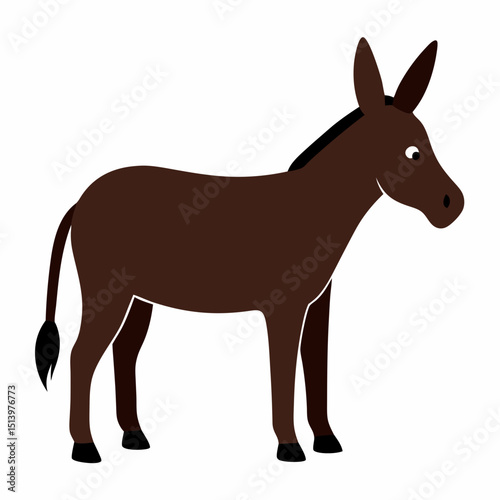 donkey isolated on white background