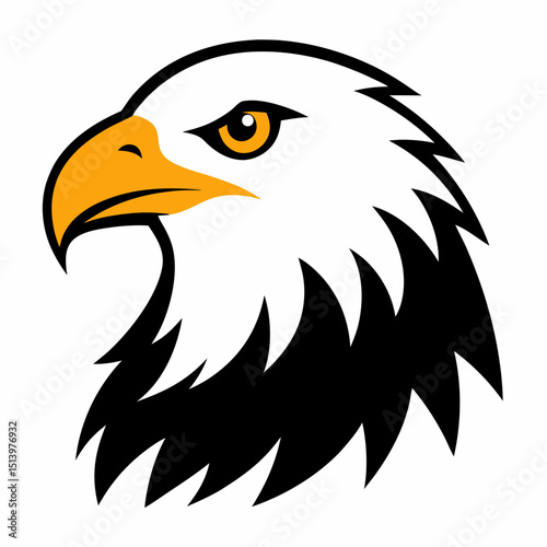 eagle head vector illustration