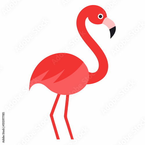 pink flamingo isolated on white