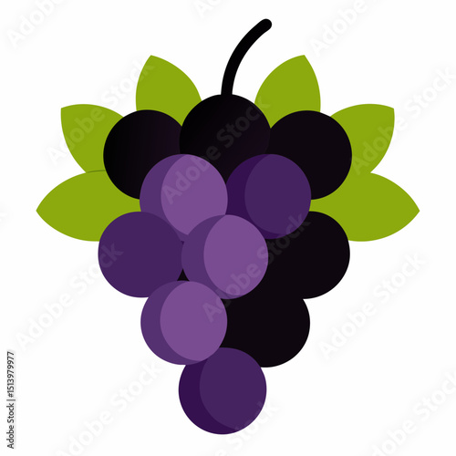 bunch of grapes vector illustration
