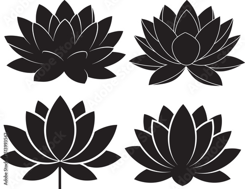 set of lotus flowers