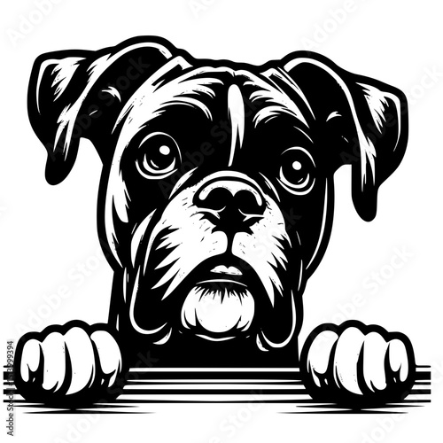 Boxer Peeking Dog Vector Illustration Isolated on White