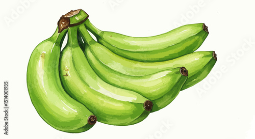 Watercolor Painting Capturing A Bunch Of Unripe Bananas With Shades Of Green Showcasing The Vibrant Color And Textures Against A Light Backdrop