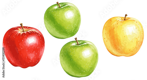 Watercolor Painting Features A Quartet Of Vibrant Apples In Red Green And Yellow Hues Set Against A Clean White Background Showcasing Botanical Illustration