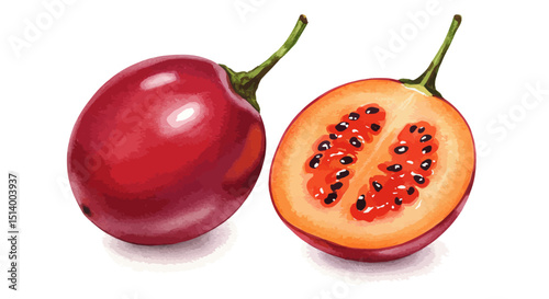 Watercolor Painting Showcases Whole And Sliced Green Citrus Fruits Creating A Refreshing Vibrant Feel With Artistic And Illustrative Detail On White