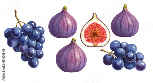 Watercolor Illustration Showcases A Still Life Of Dark Grapes And Purple Figs Including A Halved Fig Rendered With A Vibrant Textured Artistic Style