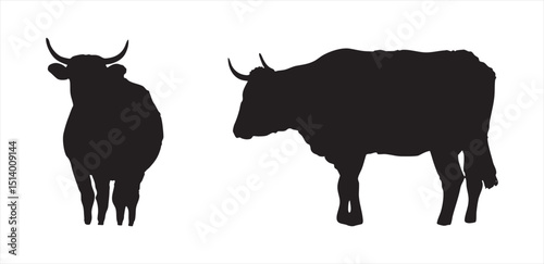 Silhouette Illustration of Standing Bull and Cow on White Background