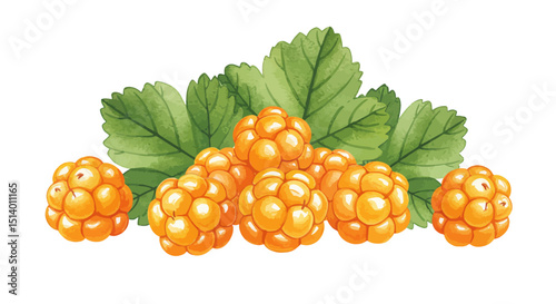 Watercolor Illustration Presents Vibrant Orange Cloudberries Clustered Amidst Fresh Green Leaves Evoking A Sense Of Natural Sweetness And Artistic Simplicity