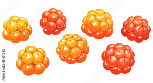 Watercolor Illustration Of Cloudberries Showcasing Their Vibrant Hues From Orange To Red In A Detailed Vector Image With A Soft Inviting Visual Texture