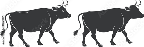 Two Black Silhouette Cows Side by Side with Horns and Tails, in Varied Postures on Plain White Background, silhouette of a bull