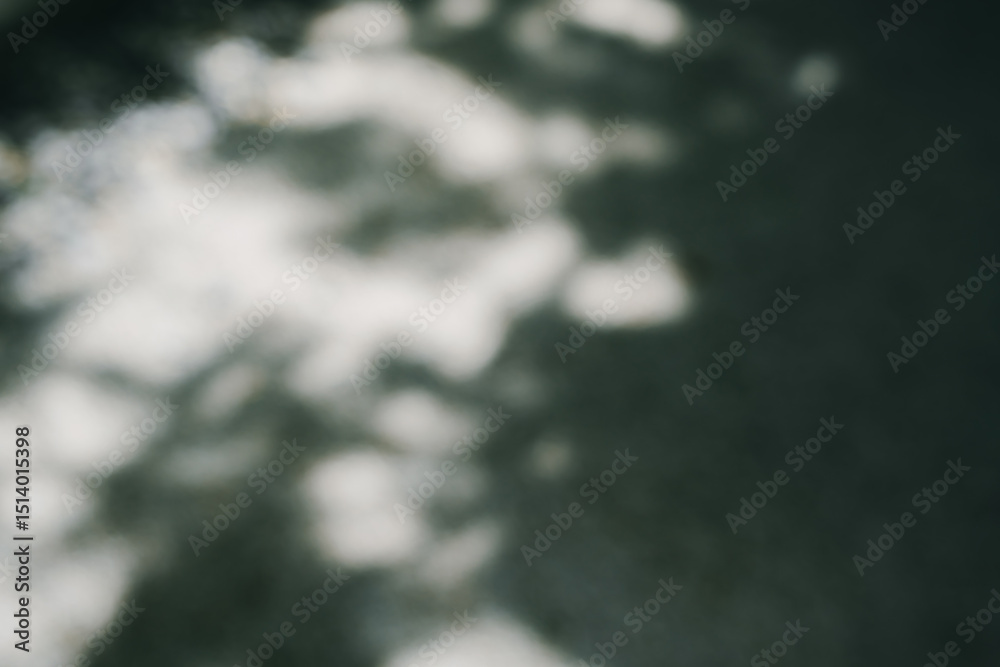 Background concept. Soft Natural Light and Shadow Play on a Blurred Surface Creating a Serene and Artistic Atmosphere Background concept. Soft Natural Light and Shadow Play on a Blurred Surface Creating a Serene and Artistic Atmosphere
