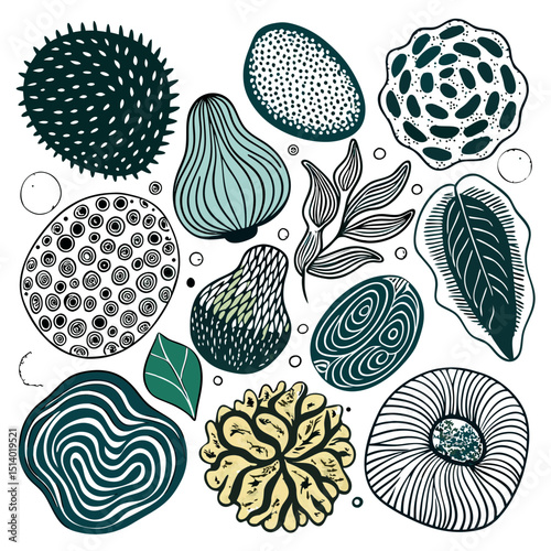 Set of Abstract Shapes with Rough Texture Drawing
