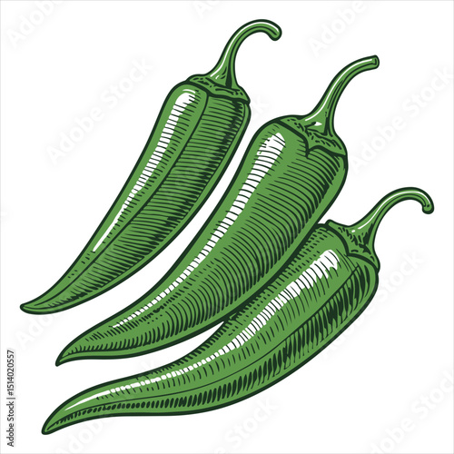 On a white background, two green chili peppers are displayed.