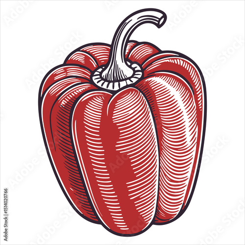 Fresh red bell peppers that look realistic against a white backdrop  Art illustration