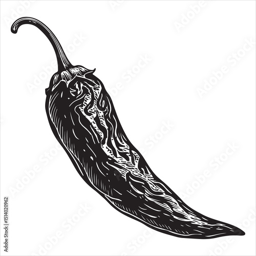 An icon of chili peppers. A basic graphic icon of a chilli pepper for the web