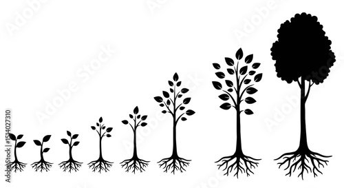 Black vector icon set of tree growth stages, from sapling to mature tree. Minimal style perfect for eco, forestry, and nature-themed designs.

*