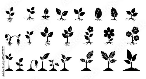 Black vector icon set of plant growth

