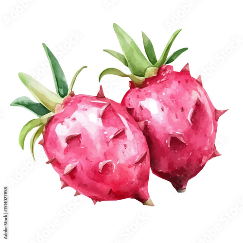 My Watercolor illustration A dragon fruit painting isolated on a white background, illustration, AI painting design, vector illustration set, eps format	