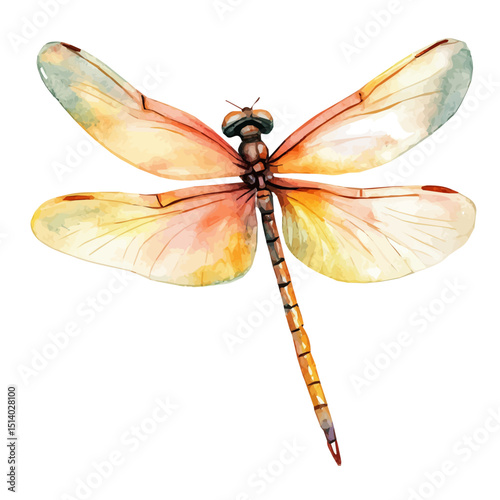 My Watercolor illustration, dragonfly painting isolated on a white background, illustration, AI painting design, vector illustration set, eps format	