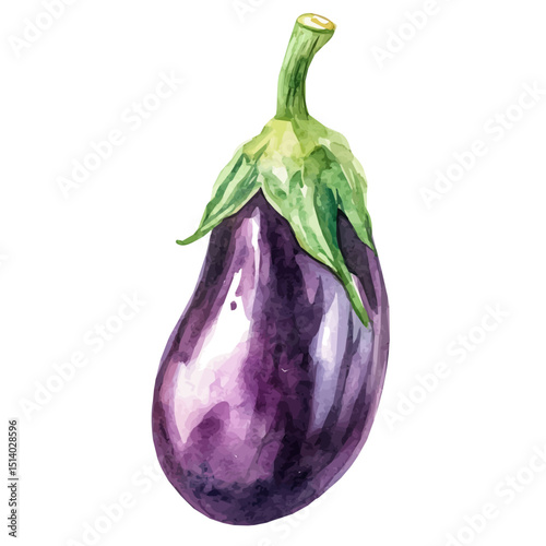 My Watercolor illustration, illustration eggplant painting isolated on a white background, illustration, AI painting design, vector illustration set, eps format	