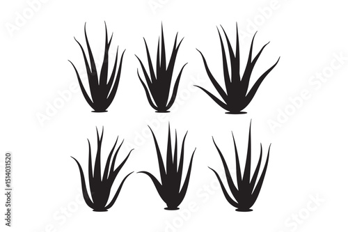 Aloe Vera Plant Silhouettes
