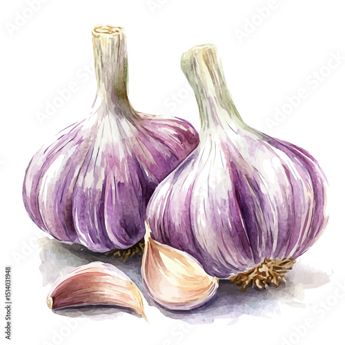 My Watercolor illustration, illustration purple garlics painting isolated on a white background, illustration, AI painting design, vector illustration set, eps format	