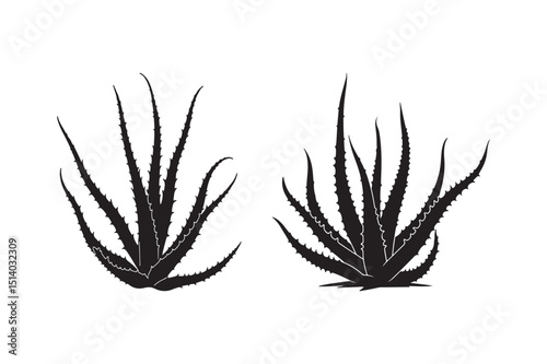 Aloe Vera Plant Silhouette Vector