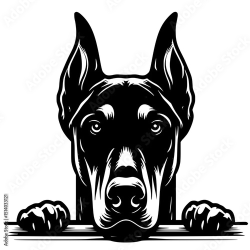 Doberman Pinscher Peeking Dog Vector Illustration Isolated on White