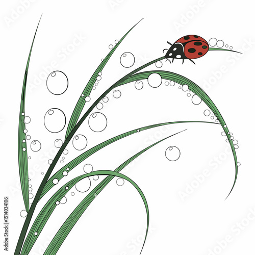 ladybug on green leaf vector