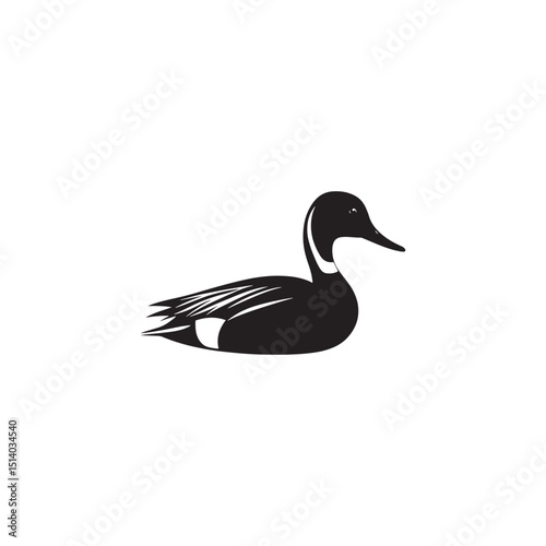 **"Sleek Northern Pintail Vector Silhouette: Elegant Waterfowl Design Featuring Long Neck, Pointed Tail, and Streamlined Body in Clean, Minimalist Style for Crafts and Digital Art"**
