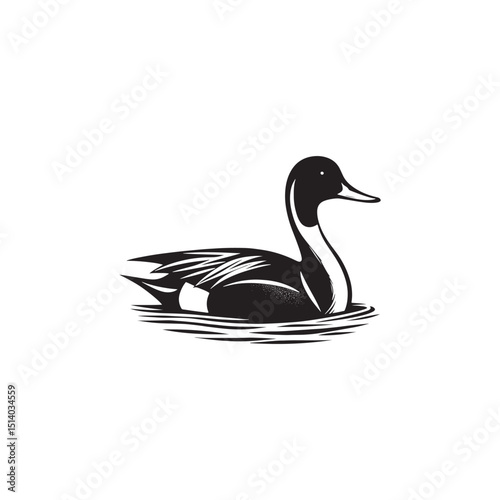 **"Sleek Northern Pintail Vector Silhouette: Elegant Waterfowl Design Featuring Long Neck, Pointed Tail, and Streamlined Body in Clean, Minimalist Style for Crafts and Digital Art"**
