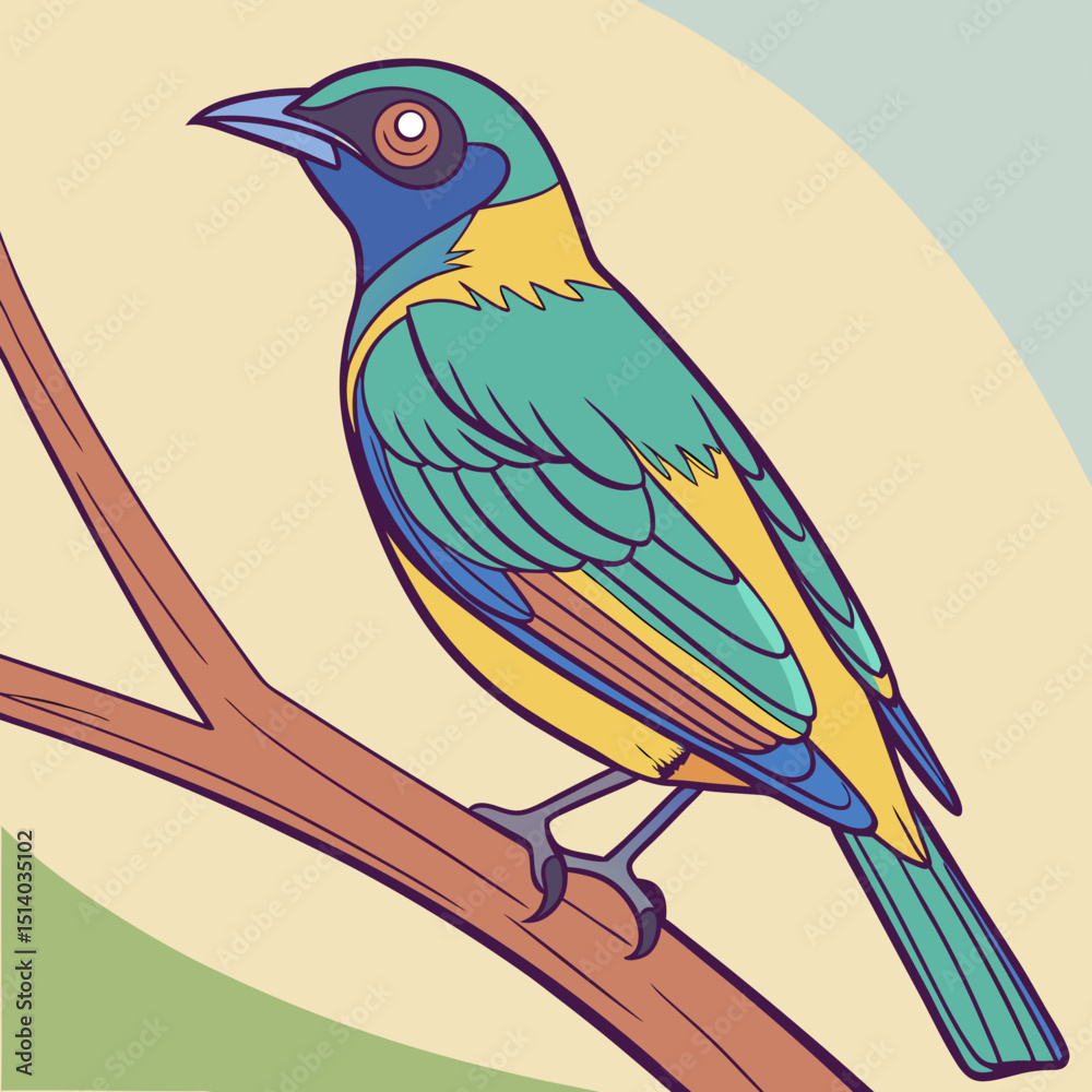 Obraz premium Bird Vector