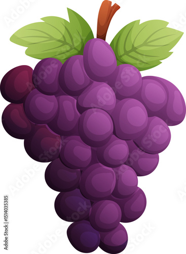 Bunch of Ripe, Juicy, Purple Grapes with Green Leaves and Stem Illustration
