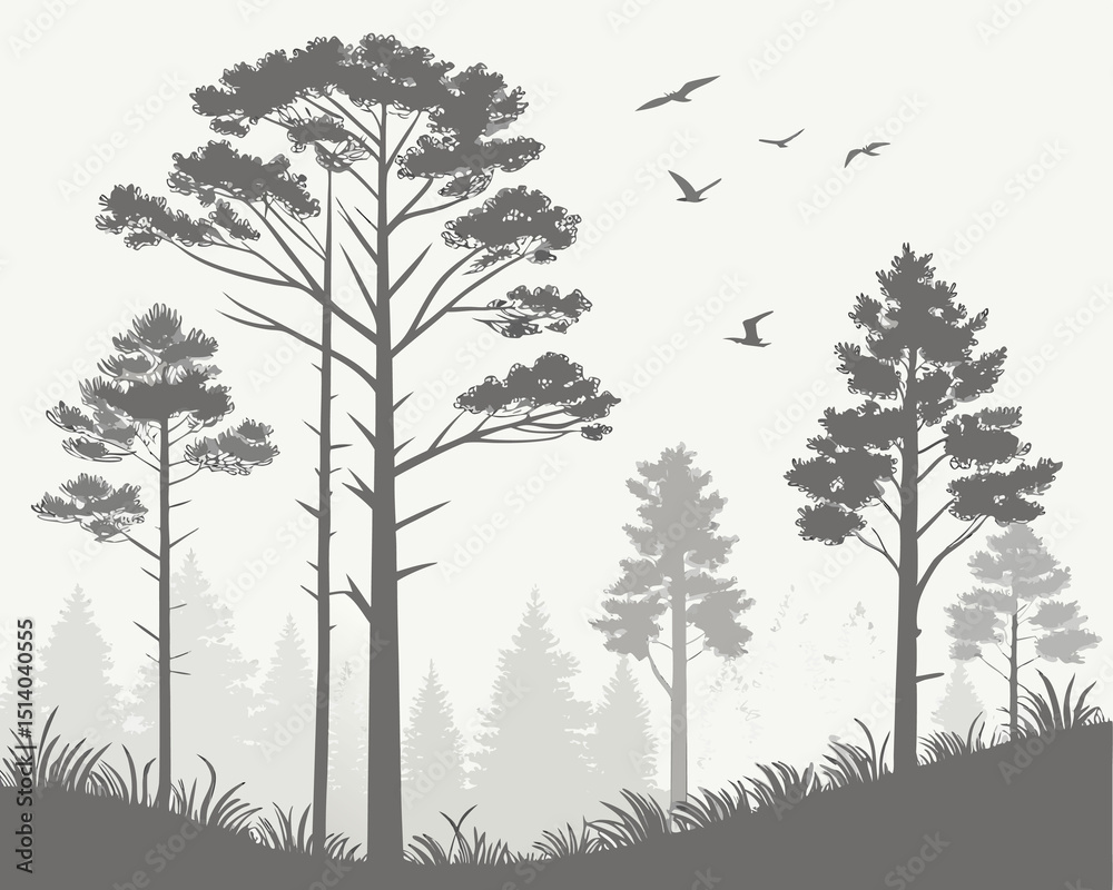 Obraz premium set of silhouettes of trees