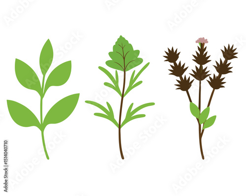 set of trees vector