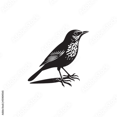 **"Charming Song Thrush Vector Silhouette: Melodic Garden Bird Design Featuring Upright Stance, Distinct Beak, and Sleek Form in Clean, Minimalist Style for Crafts and Digital Art"**

