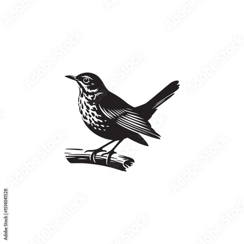 **"Charming Song Thrush Vector Silhouette: Melodic Garden Bird Design Featuring Upright Stance, Distinct Beak, and Sleek Form in Clean, Minimalist Style for Crafts and Digital Art"**
