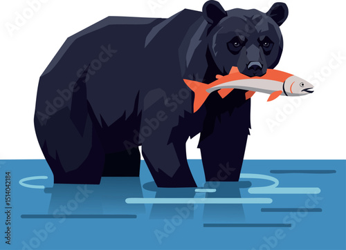 Black bear catching salmon in river wildlife nature scene vector illustration 