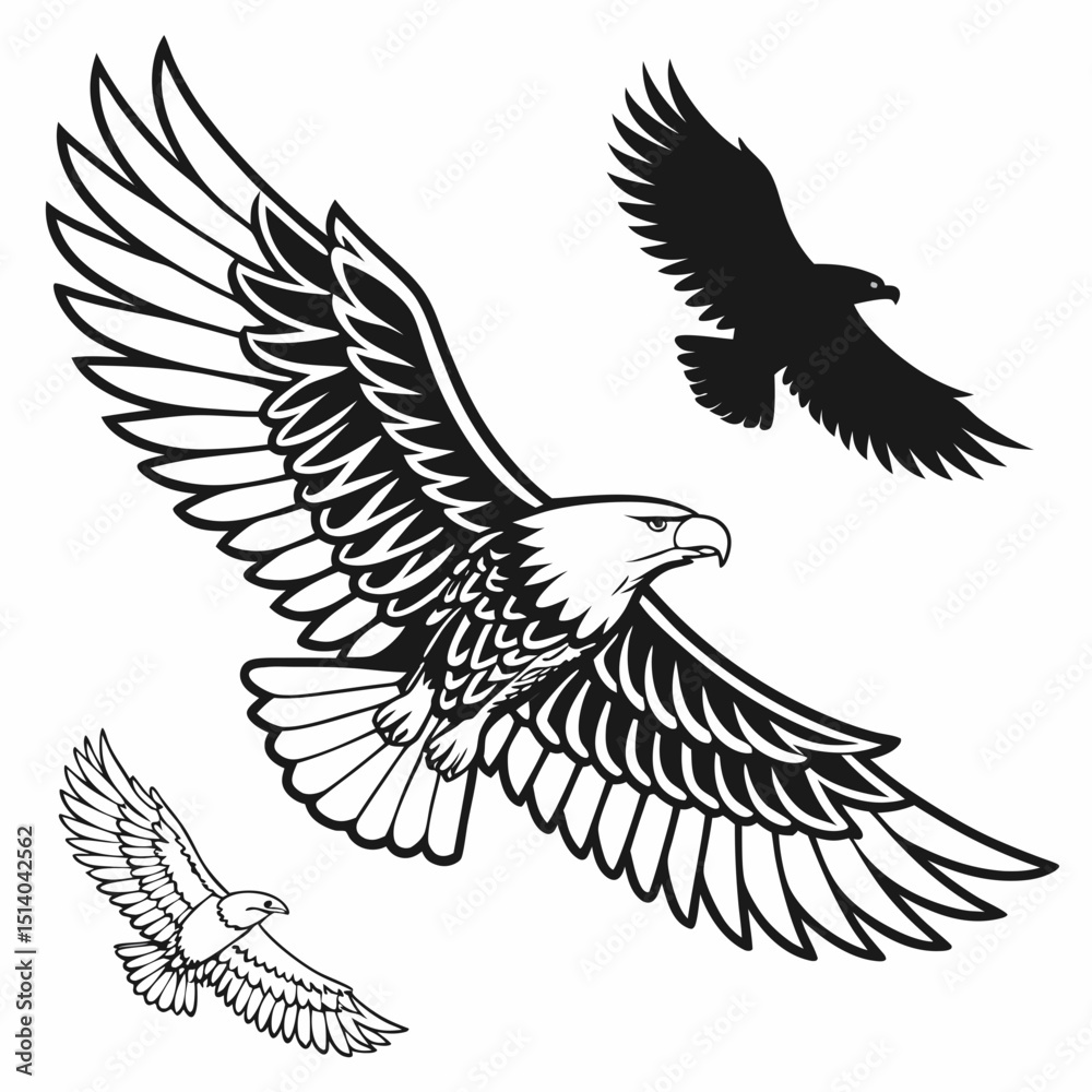 Obraz premium eagle in flight