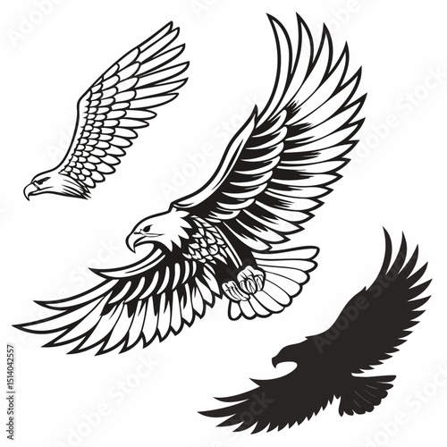 eagle vector illustration