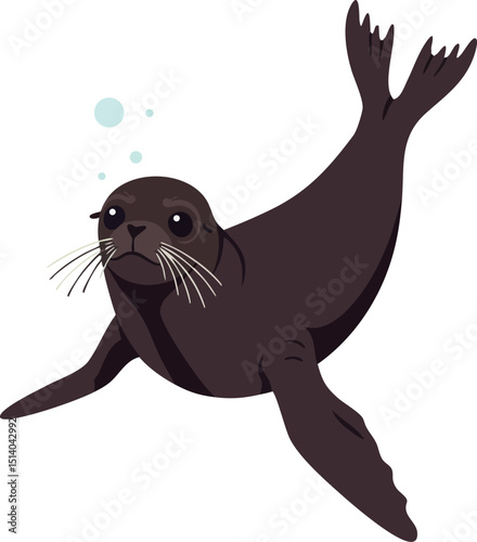 Seal swimming underwater marine animal vector illustration in simple style 